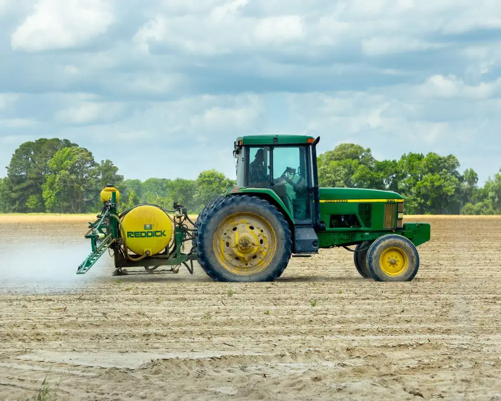 Agricultural workers in the field